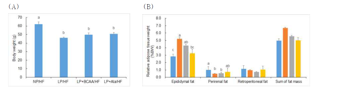 3. (A) Final body weight and postweaning body weight gain, (B) relative weights of adipose tissue of adult offspring of dams fed NP, LP, LP+BCAA and LP+Ala diets