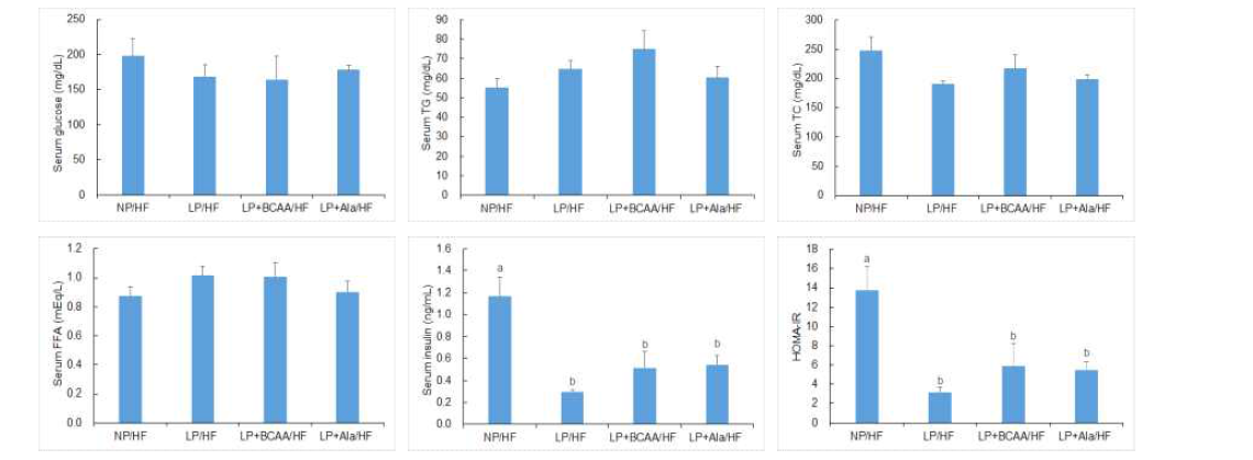 Serum biochemical parameters of adult offspring of dams fed NP, LP, LP+BCAA and LP+Ala diets