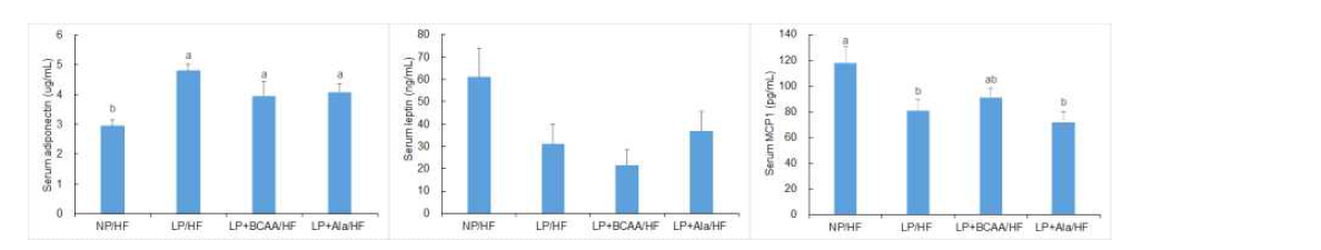 Fasting serum adiponectin, leptin and MCP1 levels of adult offspring of dams fed NP, LP, LP+BCAA and LP+Ala diets