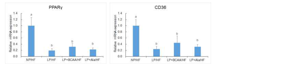 Hepatic mRNA expression of genes involved in lipid metabolism of adult offspring of dams fed NP, LP, LP+BCAA and LP+Ala diets