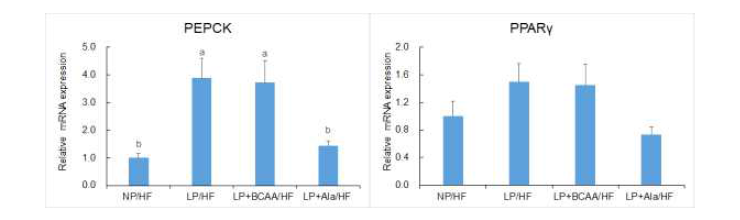 Epididymal adipose tissue mRNA expression of genes involved in fat expansion of adult offspring of dams fed NP, LP, LP+BCAA and LP+Ala diets