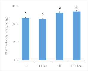 Final body weight of dams fed LF, LF+Leu, HF, and HF+Leu diets