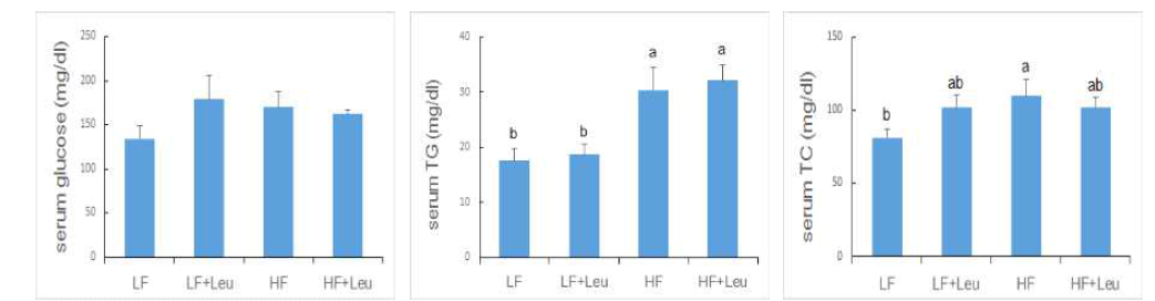 Fasting serum glucose, TG, and TC levels of dams fed LF, LF+Leu, HF, and HF+Leu diets