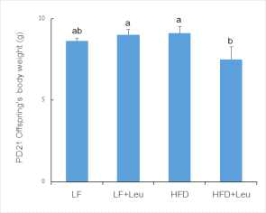 Final body weight of PND21 male offspring of dams fed LF, LF+Leu, HF, and HF+Leu diets