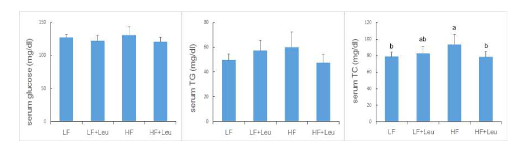 Fasting serum glucose, TG, and TC levels of PND21 male offspring of dams fed LF, LF+Leu, HF, and HF+Leu diets