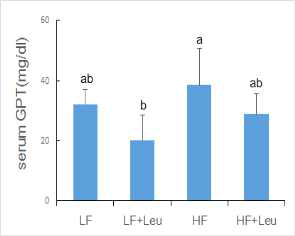 Fasting serum GPT levels of PND21 male offspring of dams fed LF, LF+Leu, HF, and HF+Leu diets