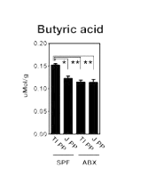 Quantitation of butyric acid in Peyer