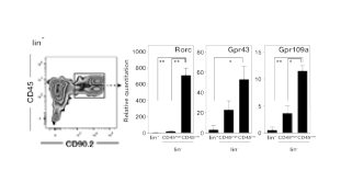 Identification of SCFAs receptors in ILCs