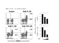 Identification of IL-22 expression in ILC3s stimulated by butyrate