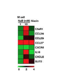 The expression pattern of chmokine and chemokine receptor in M-like cells treated with butyrate or naicin
