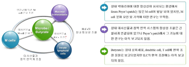 국내·외 연구동향 및 문제점