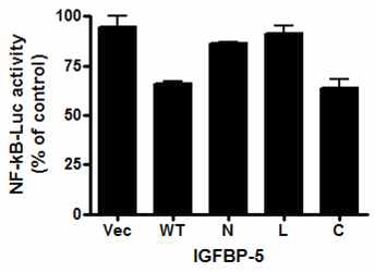 NF-kB activity assay