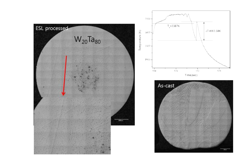 W20Ta80의 ESL에서 용융 후 미세구조 및 as-cast 시료의 미세구조