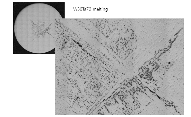 W30Ta70 합금의 ESL 용융후 결정화를 통해 형성된 미세구조