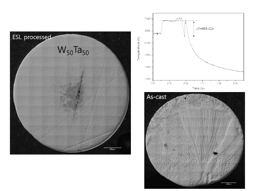 W50Ta50 의 ESL에서 용융후 결정화된 시료의 미세구조