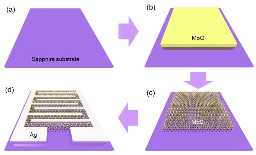2차원 MoS2 가스센서 제작 공정의 모식도 a. 기판 준비, b. MoO3 프리커서 필름 증착, c. MoO3 sulfurization CVD공정, e. Interdigitated모양 전극(Ag) 증착. Sci. Rep. 5, 8052