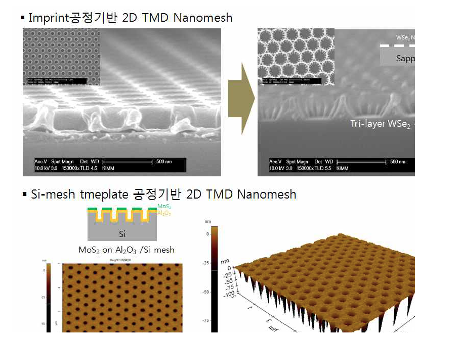 다양한 나노공정으로 제작된 2D 반도체(MoS2 or WSe2) Nanomesh