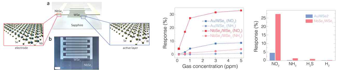NbxW1-xSe2 합금층에 의해 접합된 WSe2/NbSe2 가스센서 소자의 성능 향상. ACS Appl. Mater. Interfaces 8, 19635