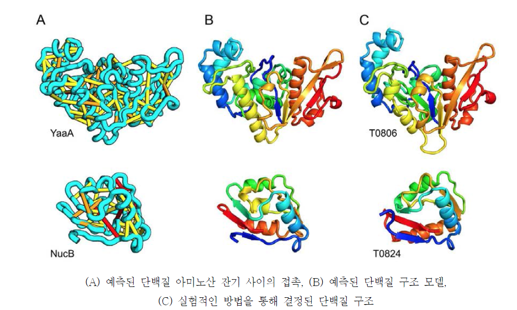 단백질 구조 결정 과정