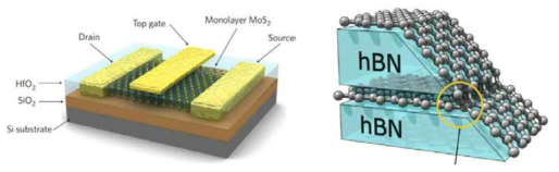(좌) 이차원 소자 모식도, (우) All 그래핀 채널/컨택 접합