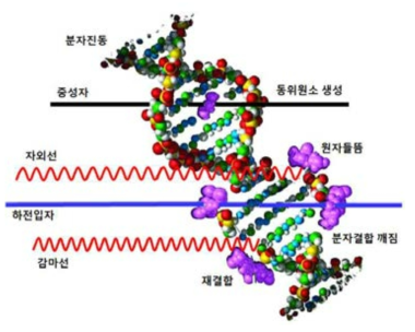 2차 입자들과 표적 분자와의 충돌 시뮬레이션