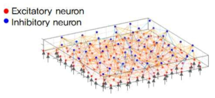 흥분성 신경세포와 억제성 신경세포의 lateral connection 시각화 사례.