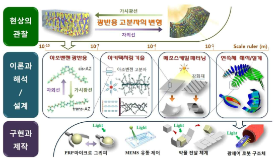 광반응 자가변형체 연구 개요도