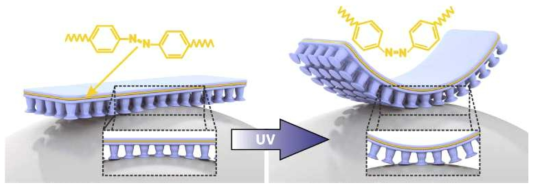 생체 모방 디바이스의 구성도, 자외선을 매개체로 하는 가역 기작 모식도