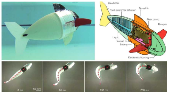 물고기의 유영을 모사한 수중 생체 모방 로봇 사진