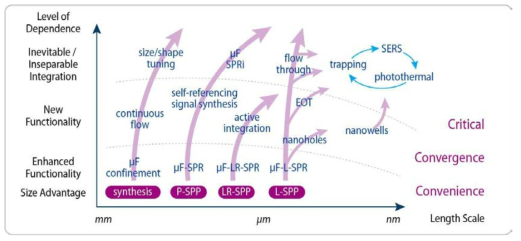 Size에 따른 Convergence Level 모식도