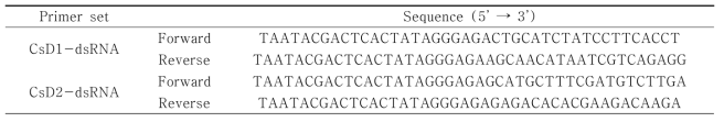 CsD1-dsRNA 및 CsD2-dsRNA 생산을 위한 primer set