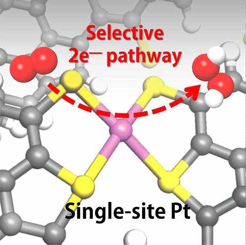 그래핀 기반 백금 단일 원자 촉매 상에서의 산소 환원 반응 [21]