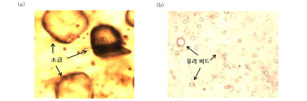 (a) 소금을 첨가한 agarose gel를 현미경으로 관찰한 사진, (b) 유리 비드를 첨가한 agarose gel를 현미경으로 관찰한 사진