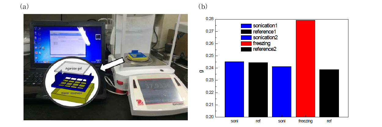 (a) Agarose gel 증발량 측정 실험 사진 (b) 내부 구조 변화에 따른 물의 증발량 차이 그래프