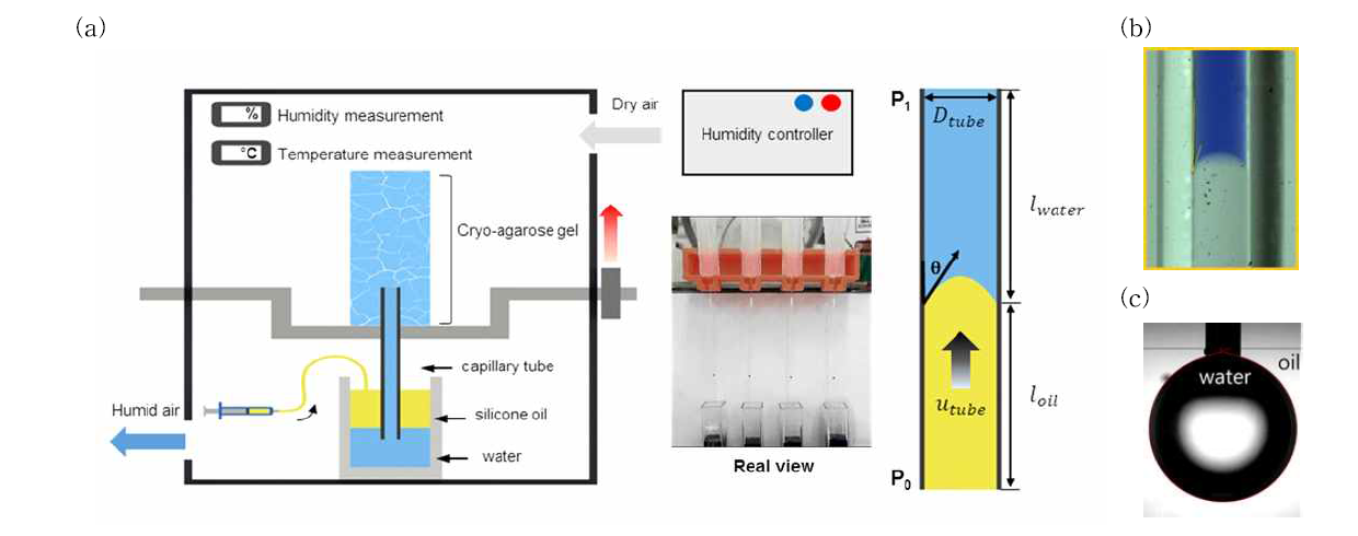 (a)음압 측정 실험 set-up 계략도 및 실제 실험 사진, (b)capillary tube 내부 계면 형상, (c)Pendant drop method를 이용한 계면 장력 측정