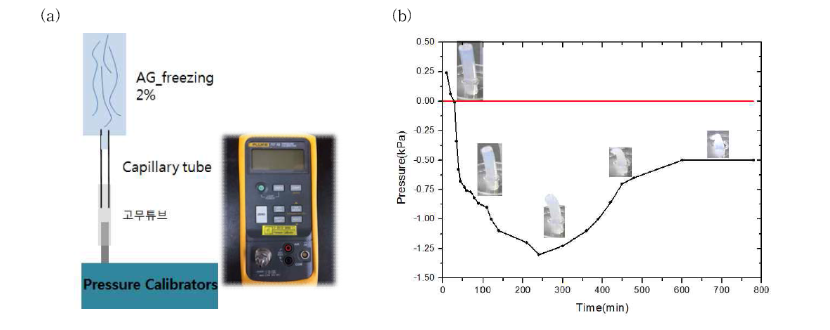 (a) pressure calibrator, (b) calibrator를 이용하여 측정한 시간에 따른 압력 그래프