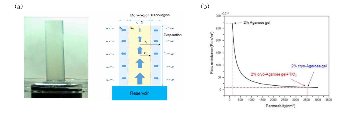 (a)Cryo-Agarose gel 내부 유동 개략도, (b) agarose 과 cryo-agarose gel의 유동 저항 그래프