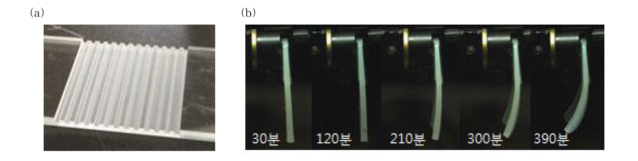 (a) 표면 형상을 바꿔주기 위해 제작한 틀, (b) 시간변화에 따라 액추에이팅 되는 agarose gel 사진