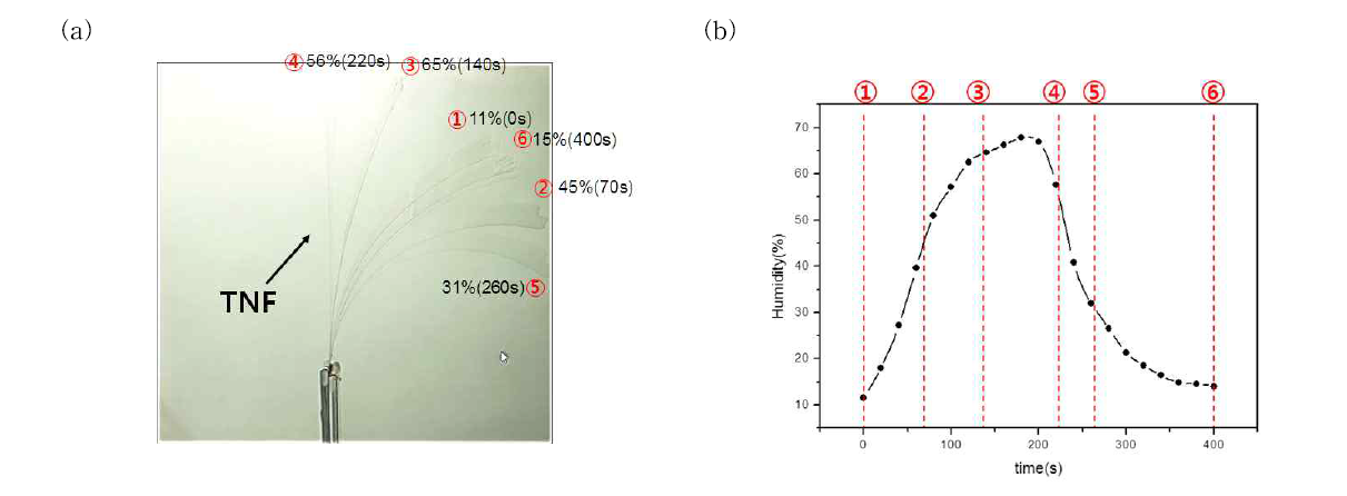 (a) 습도에 따라서 움직이는 TNF구조물, (b) 시간에 따른 습도변화 그래프