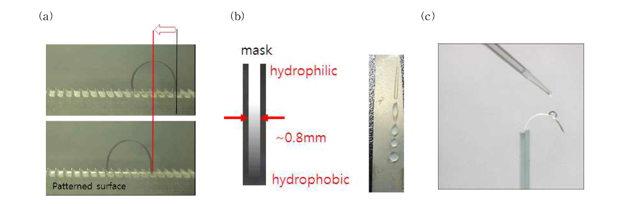 (a) 습도 변화에 따라 움직이는 TNF, (b) mask를 이용한 소수성 패터닝, (c) 소수성 코팅을 진행한 뒤 액추에이션 실험을 위해 물방울을 표면에 떨어뜨림