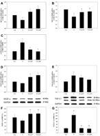 Lycopene regulates expressions of growth factors in yolk sac placentas exposed to nicotine.