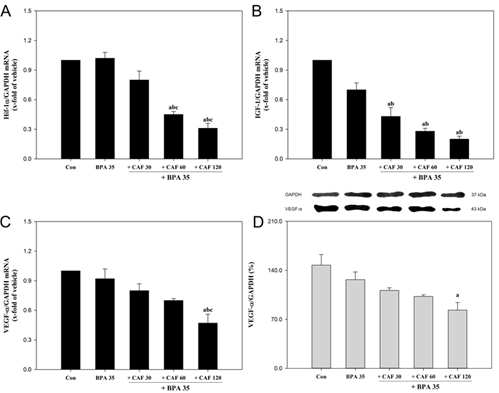 Caffeine inhibited expression of growth factors in yolk-sac placentas co-exposed to bisphenol A.