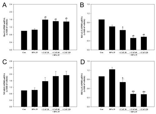 Quantitative real-time PCR analysis of apoptosis-related genes (Bax, and Bcl-xL),NF-κB, and Hif-1α levels in mouse embryos exposed to bisphenol A (BPA 35; 35􏑫/􏑴) and/or caffeine (CAF; 30, 60 and 120􏑫/􏑴) at E 8.5 for two days in vitro.