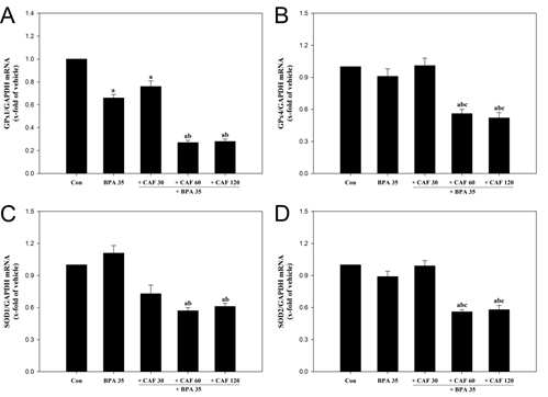 Caffeine inhibited antioxidant enzyme mRNA status in mouse embryos exposed to bisphenol A.