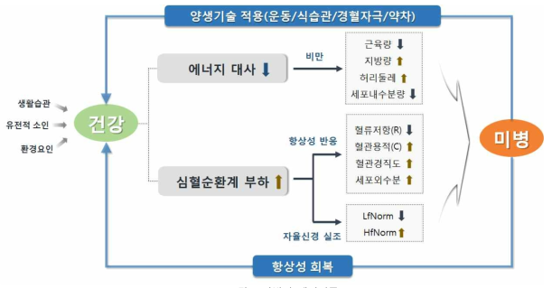 미병의 메커니즘