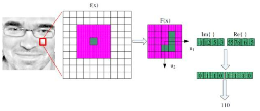 얼굴영상에서 Local Phase Quantization(LPQ) 특징 추출.