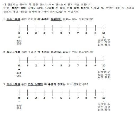 Numerical Rating Scale 설문 내용