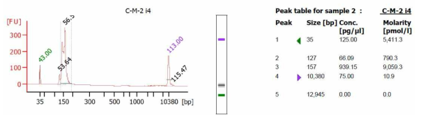 cDNA 라이브러리 electropherogram summary