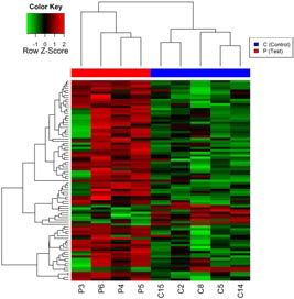 A heatmap based on gene expression patterns