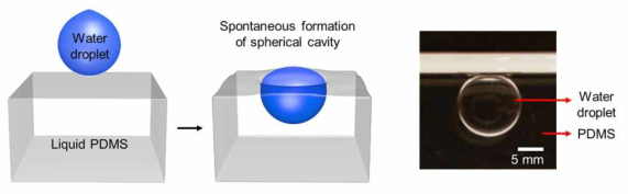 경화되지 않은 액상 PDMS에 물방울을 떨어뜨렸을 경우 관측되는 구형 캐비티(cavity) 구조